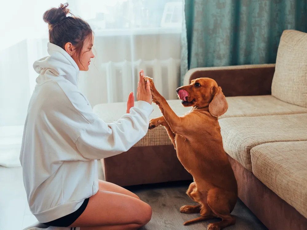 100 Nomes para Cachorro Fêmea: Escolha o Nome Perfeito para Sua Amiga!