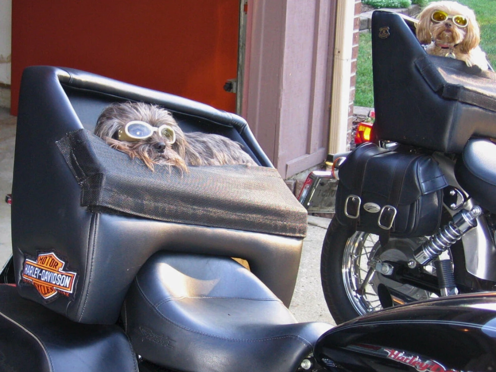 Baú para Transportar Cachorro na Moto