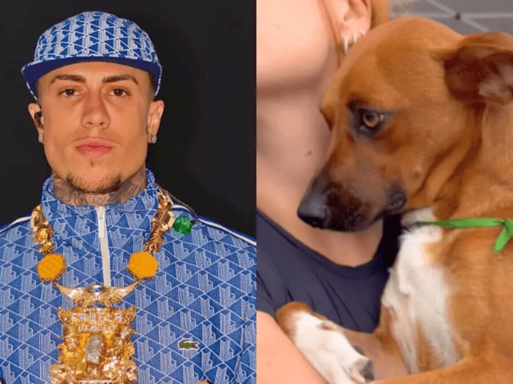 Cachorrinha Laís Viraliza na Internet e Pode Encontrar um Novo Lar com MC Daniel