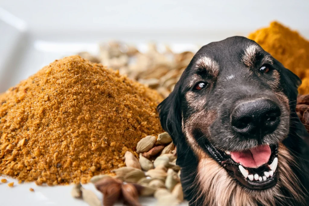 Cachorro Pode Comer Açafrão