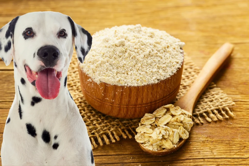 Cachorro Pode Comer Aveia