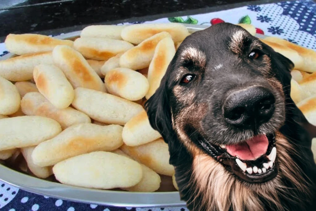 Cachorro Pode Comer Biscoito de Polvilho
