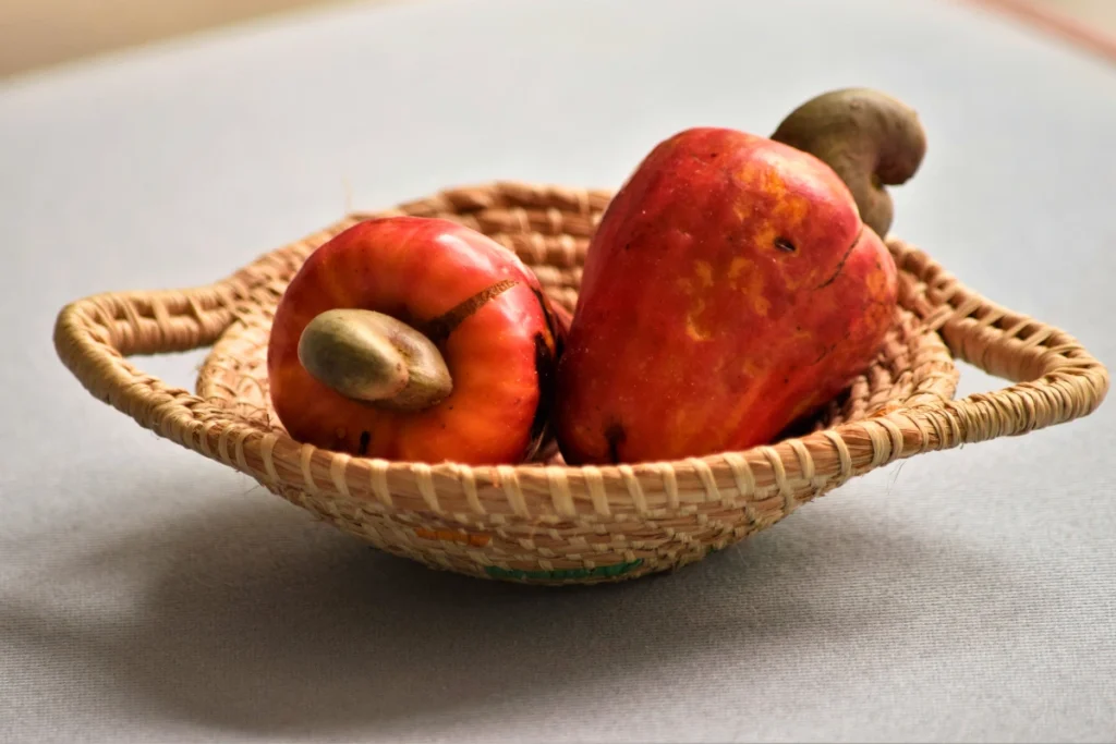 Cachorro Pode Comer Caju