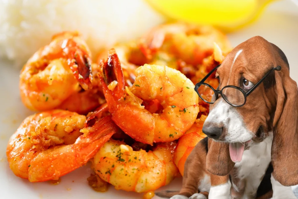 Cachorro Pode Comer Camarão