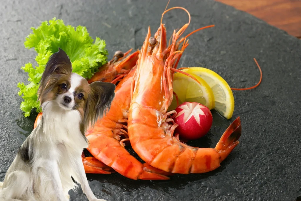 Cachorro Pode Comer Camarão