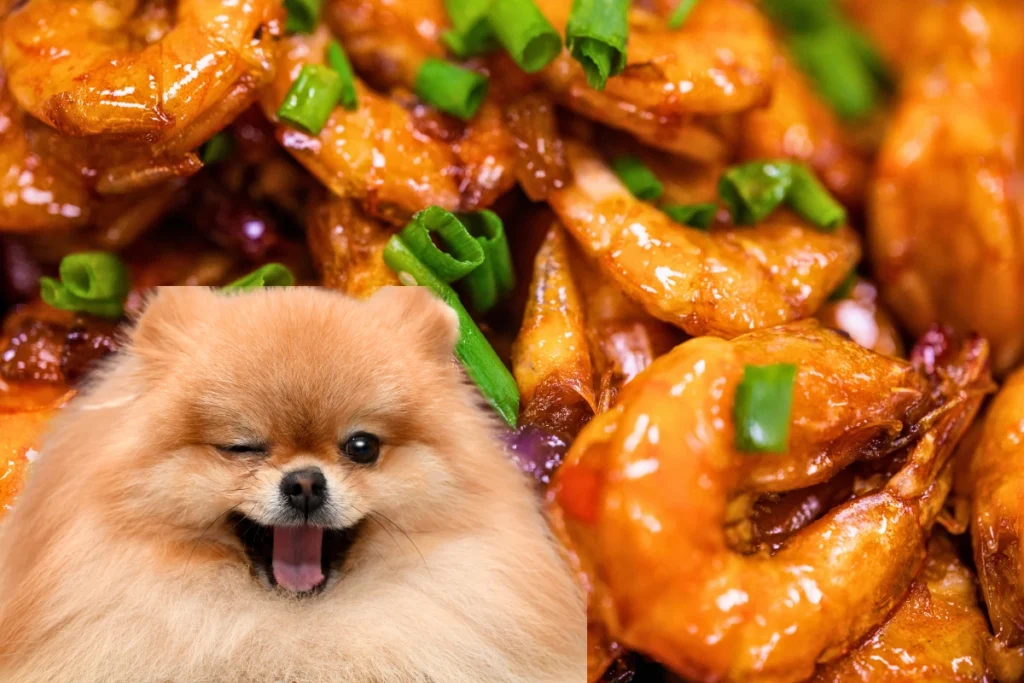 Cachorro Pode Comer Camarão