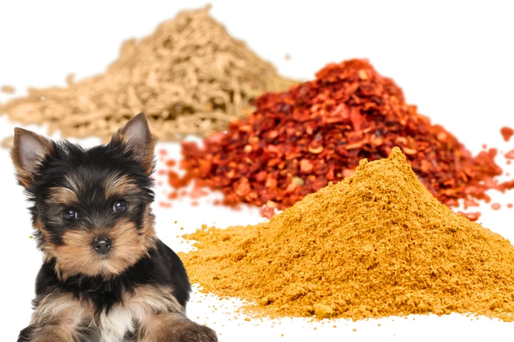 Cachorro Pode Comer Colorau