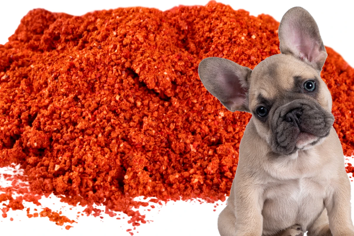 Cachorro Pode Comer Colorau