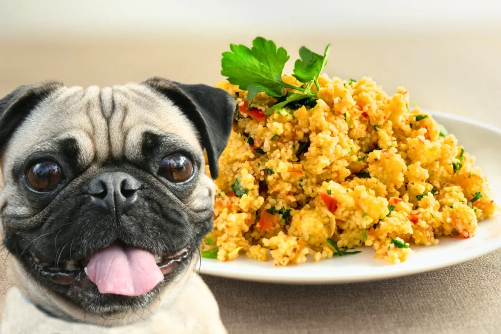 Cachorro Pode Comer Cuscuz
