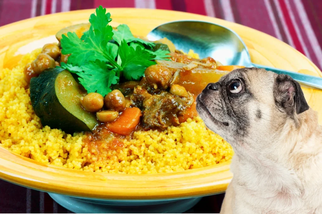 Cachorro Pode Comer Cuscuz
