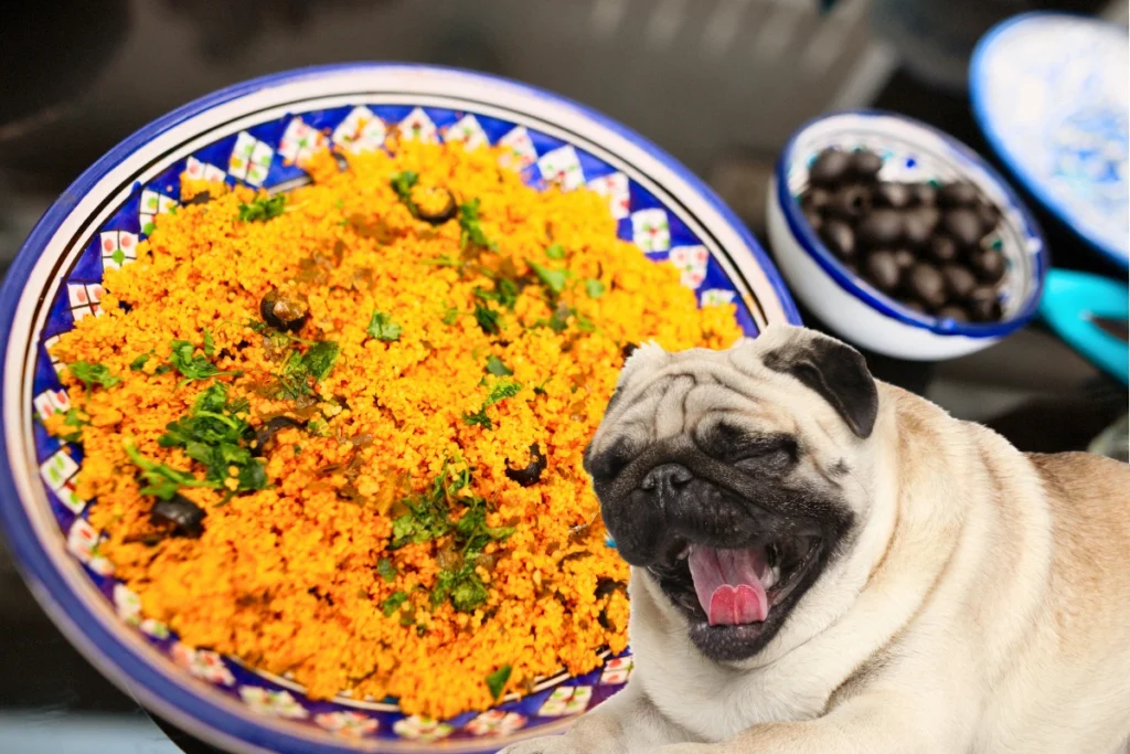 Cachorro Pode Comer Cuscuz