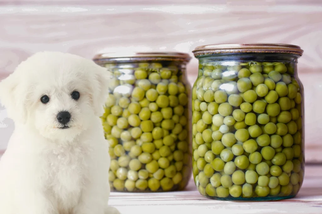 Cachorro Pode Comer Ervilha