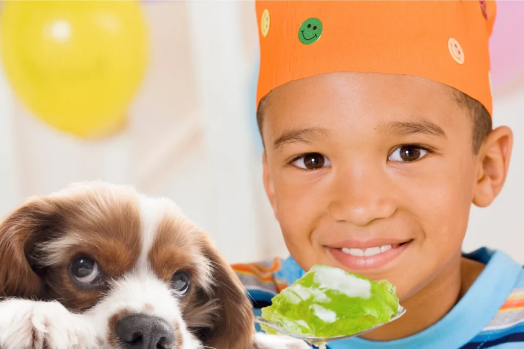 Cachorro Pode Comer Gelatina