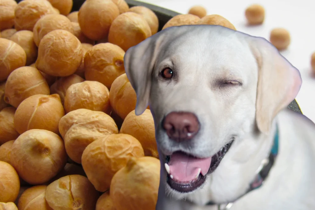 Cachorro Pode Comer Grão de Bico