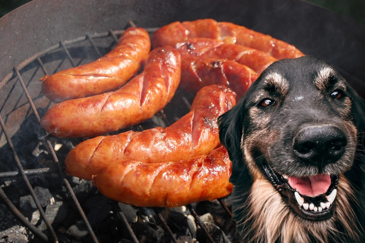 Cachorro Pode Comer Linguiça