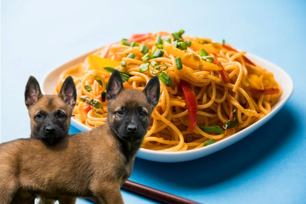 Cachorro Pode Comer Macarrão