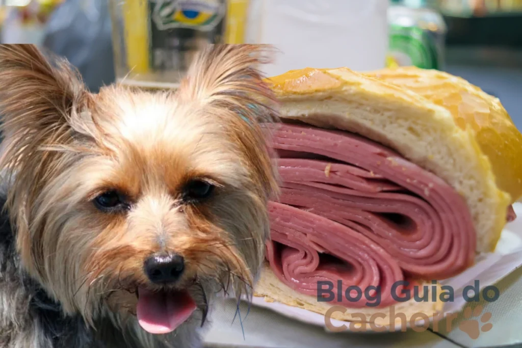 Cachorro Pode Comer Mortadela