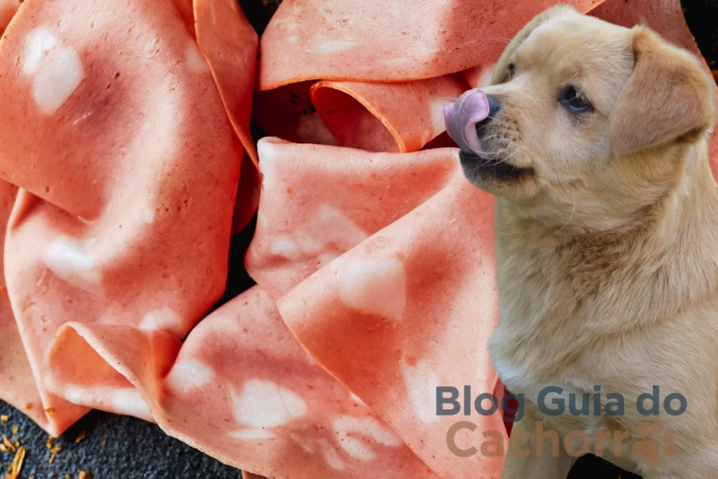 Cachorro Pode Comer Mortadela