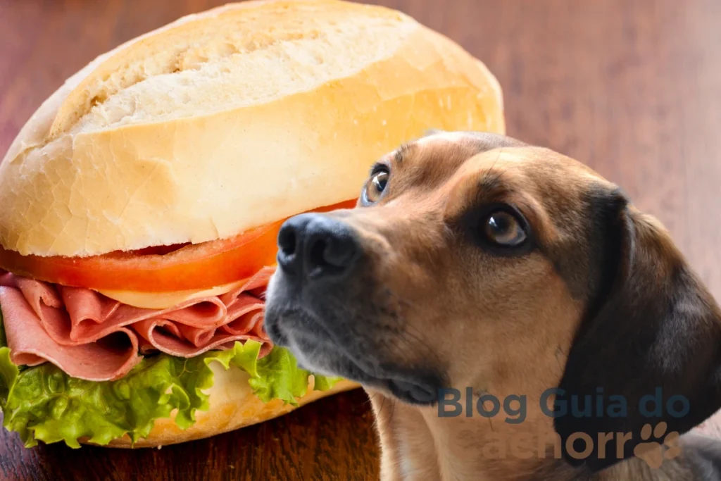 Cachorro Pode Comer Mortadela