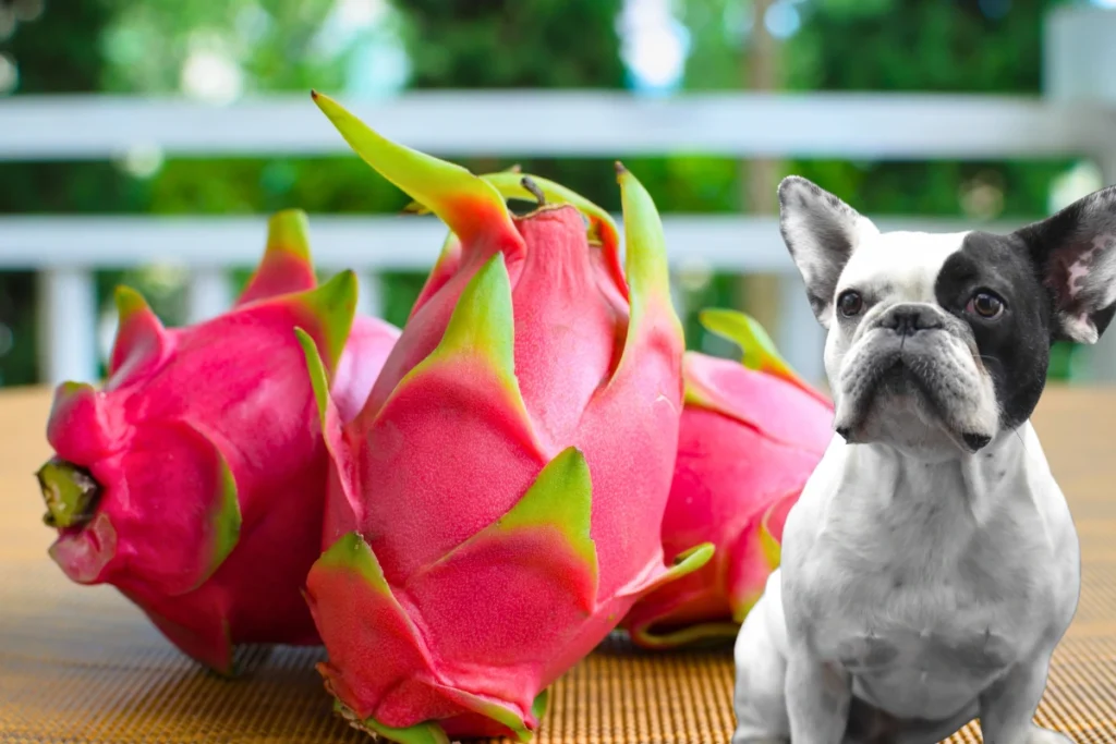 Cachorro Pode Comer Pitaya