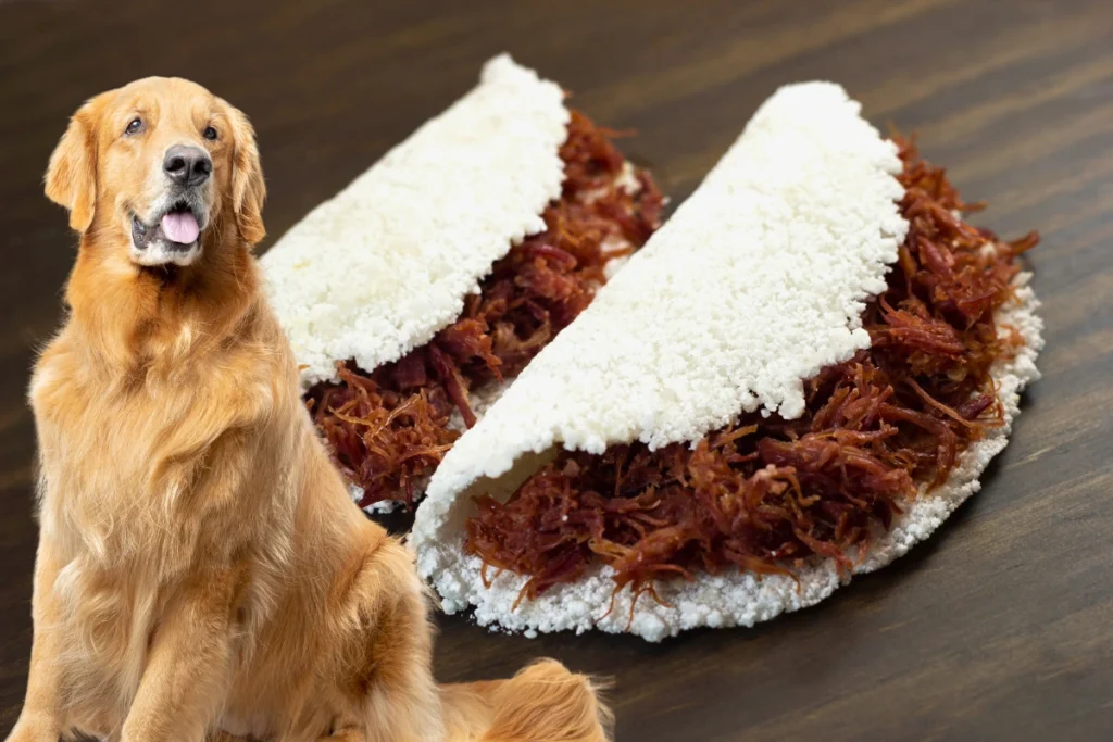 Cachorro Pode Comer Tapioca