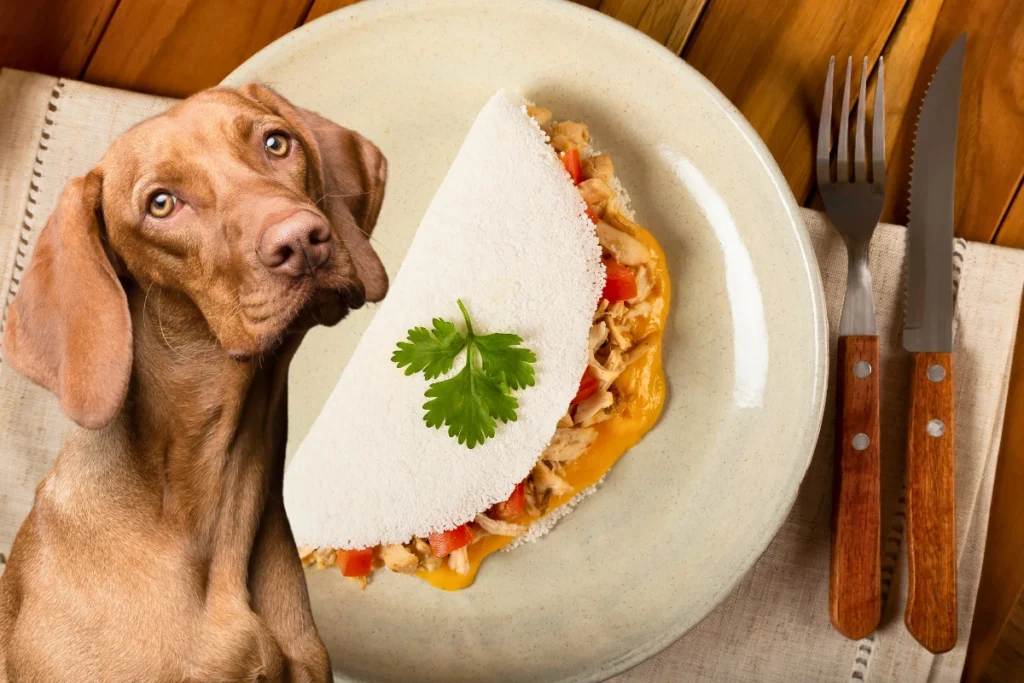Cachorro Pode Comer Tapioca