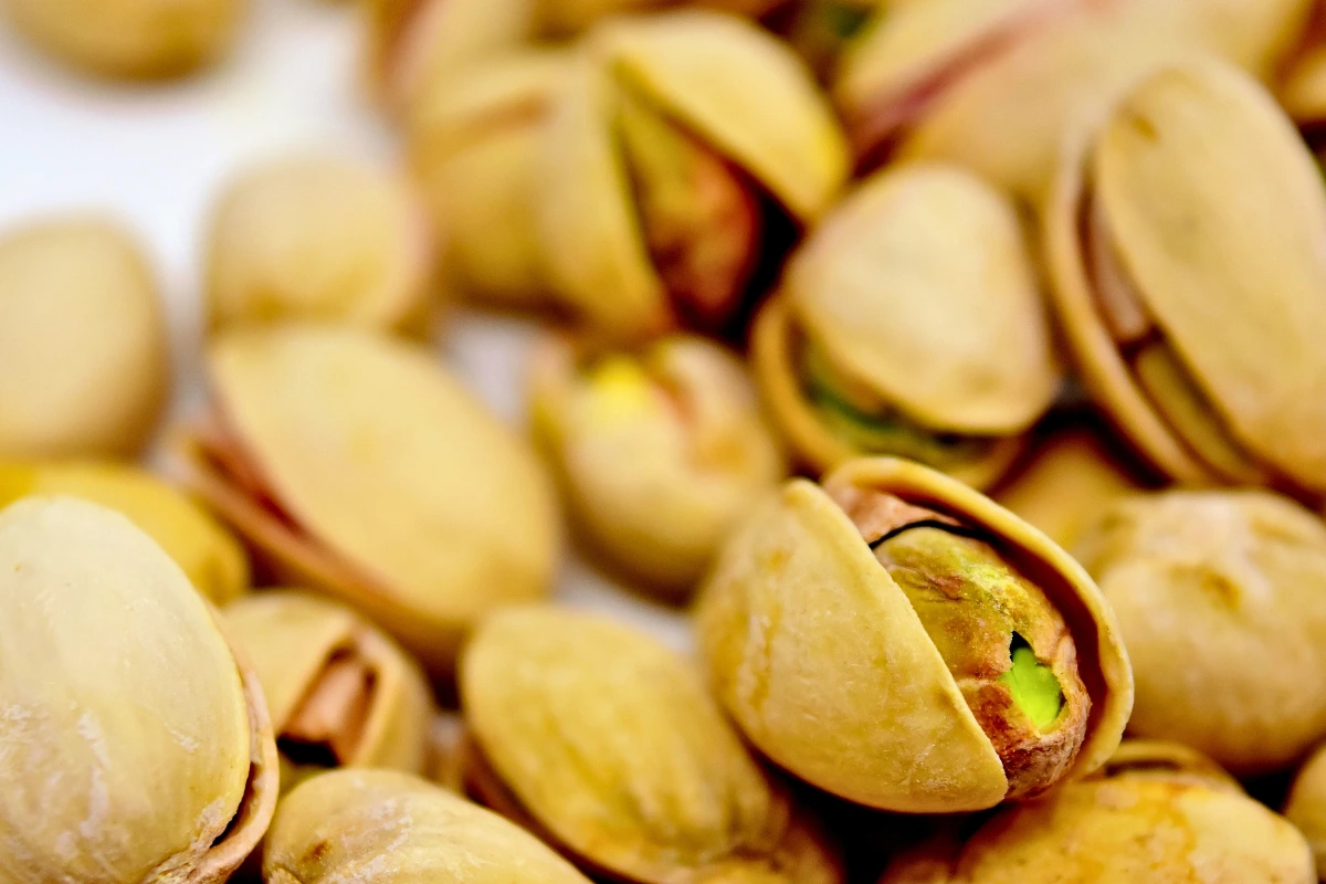 Cachorro pode comer pistache