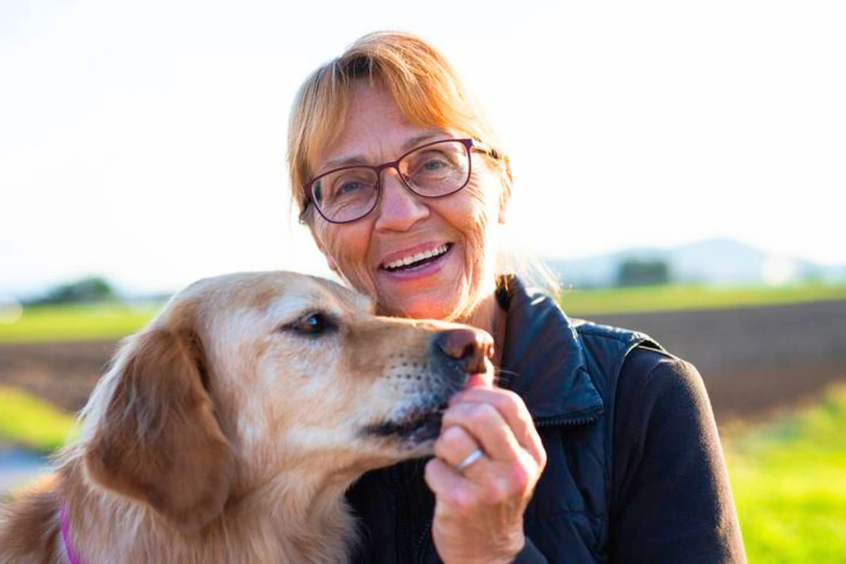 Cachorro pode comer romã