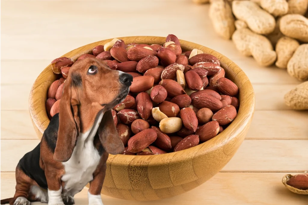 Coisas que Cachorro Pode Comer