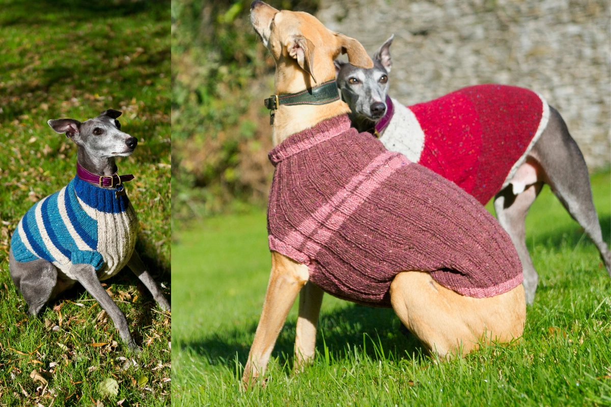 Jaqueta para Cachorro