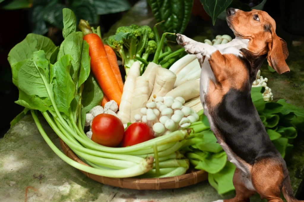 Legumes que Cachorro Pode Comer