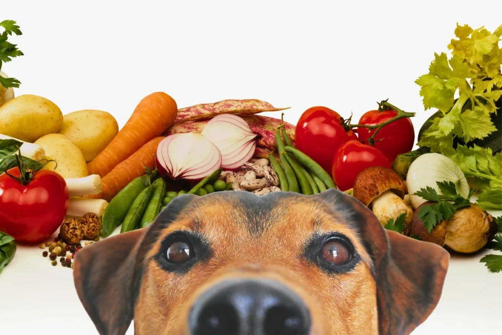 Legumes que Cachorro Pode Comer