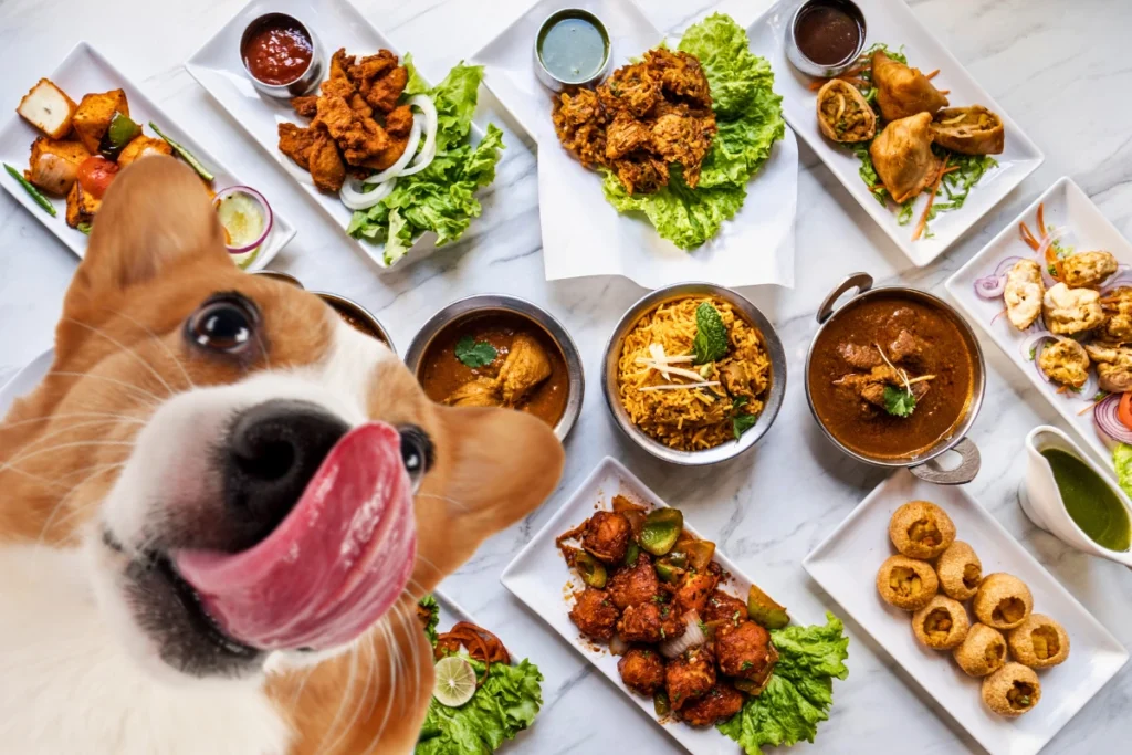 O que Cachorro Pode Comer
