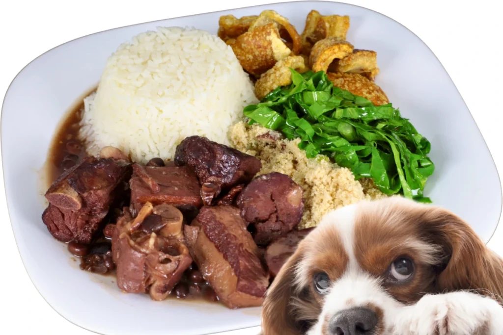 O que Cachorro Pode Comer
