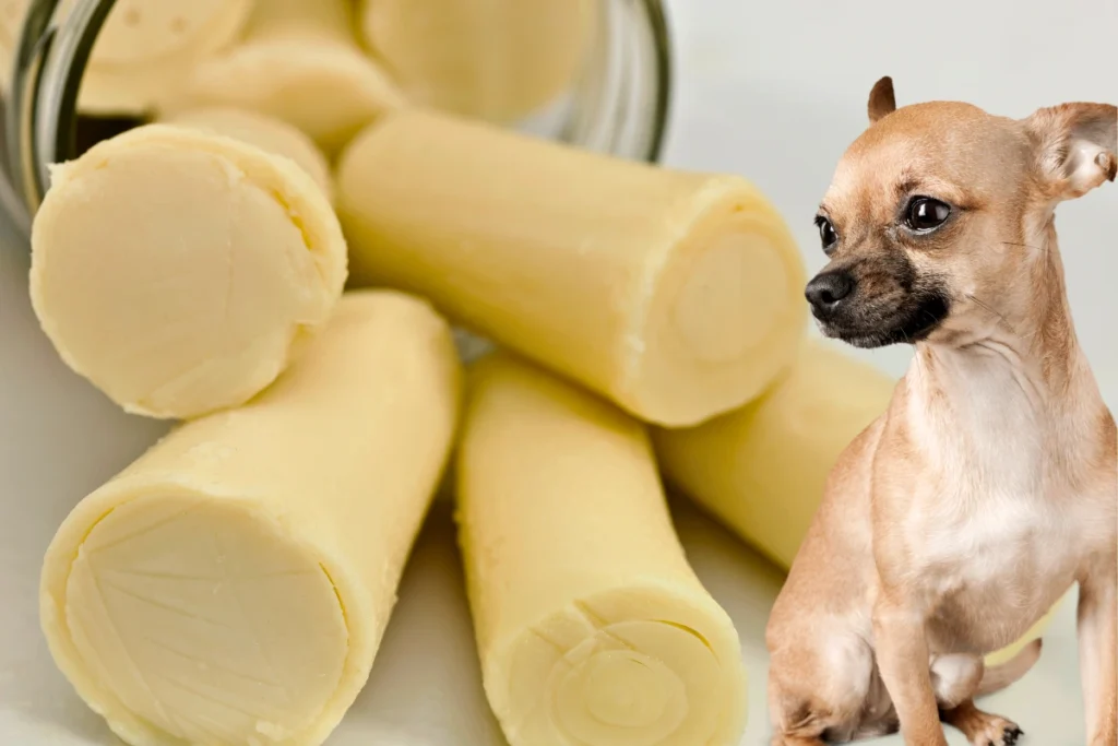 Cachorro Pode Comer Palmito