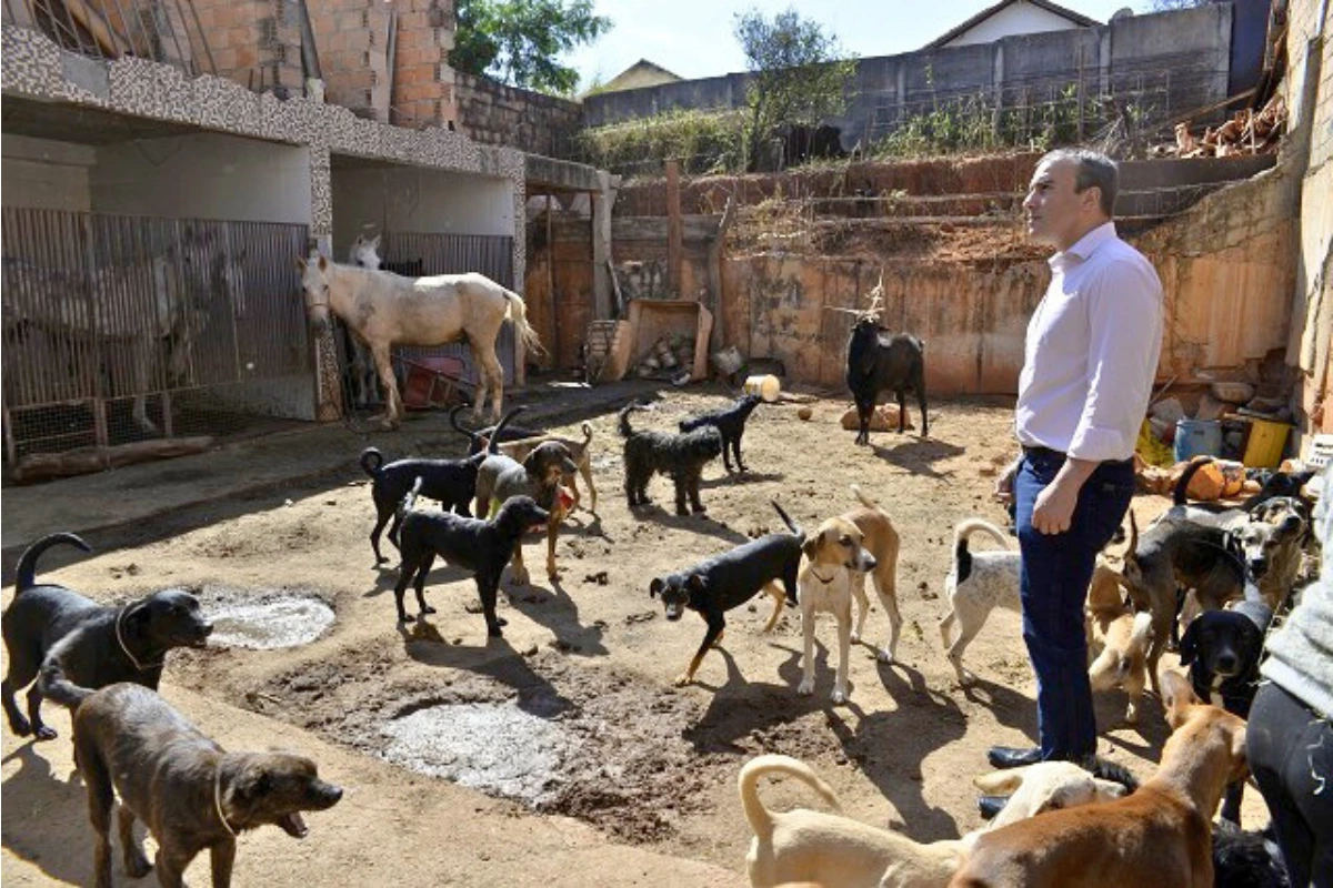 Adoção de cachorro