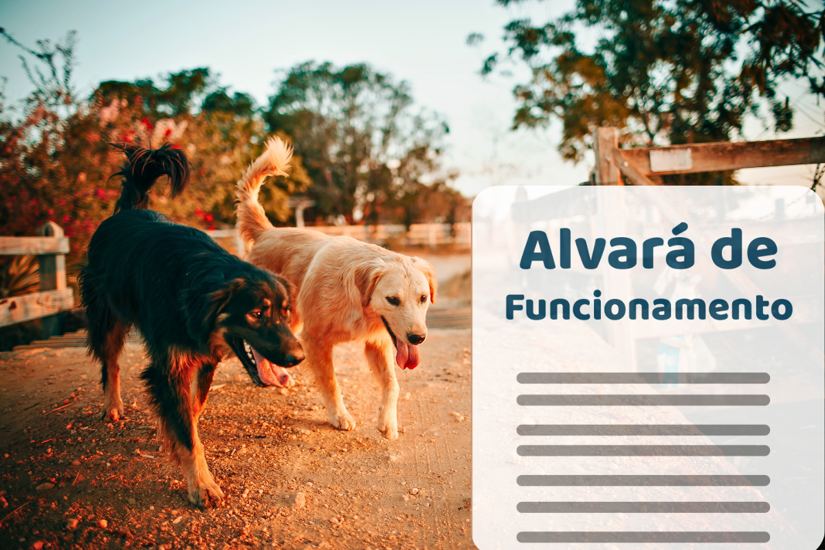 Alvará para Creche de Cachorro