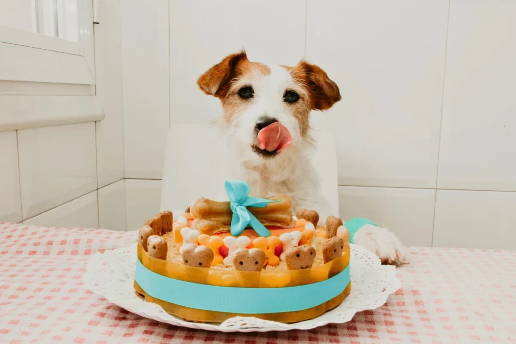 Bolo de Ração para Cachorro