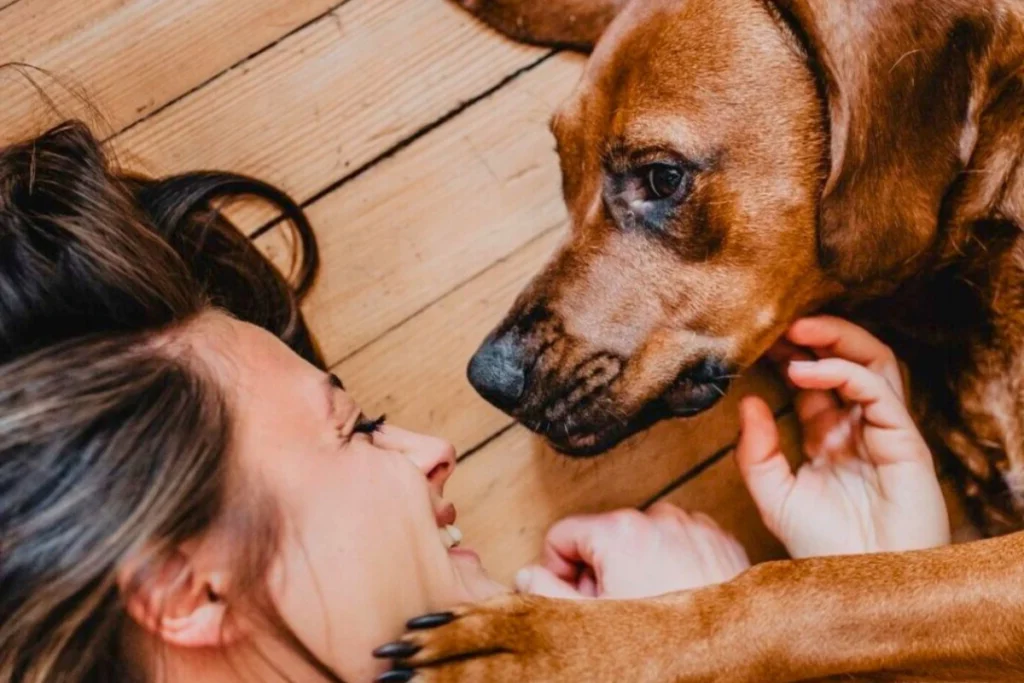 Cachorro de Apoio Emocional
