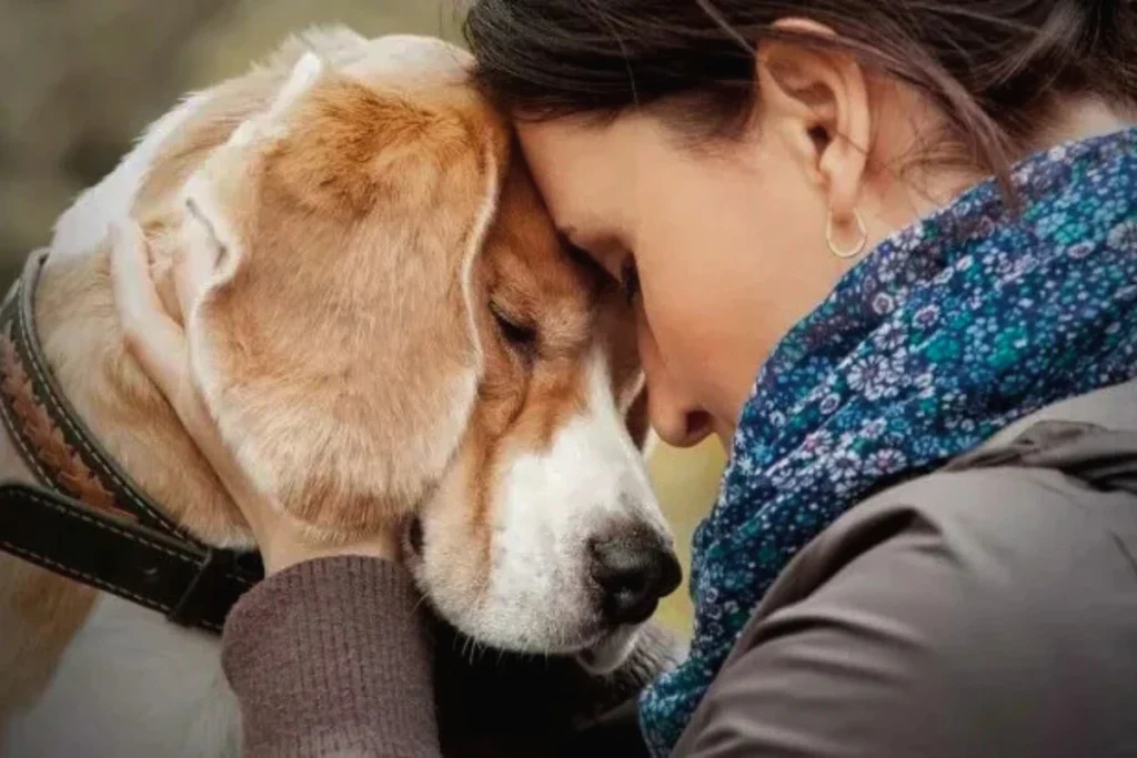 Cachorro de Apoio Emocional