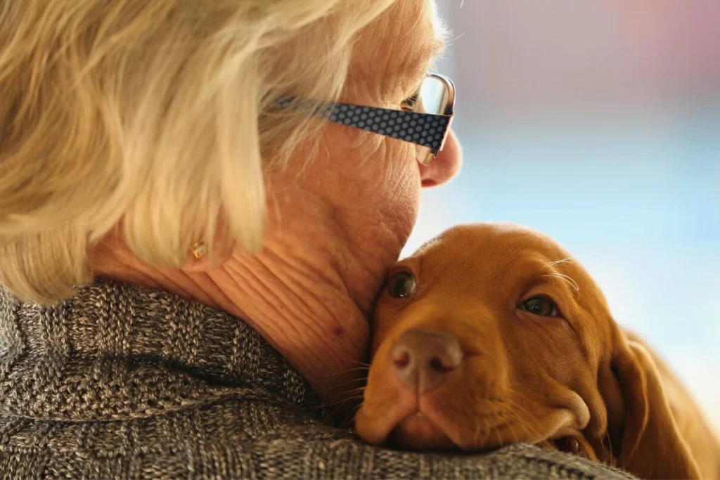 Cachorro de Apoio Emocional