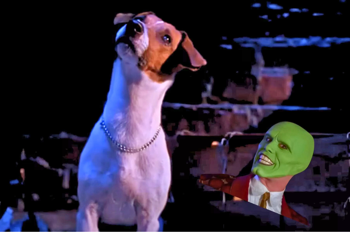 Cachorro do filme o Máskara