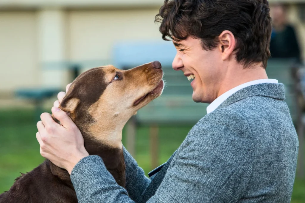 Filme de Cachorro Netflix A Caminho de Casa
