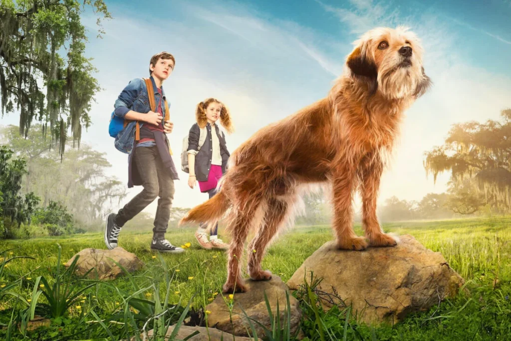 Filme de Cachorro Netflix Benji