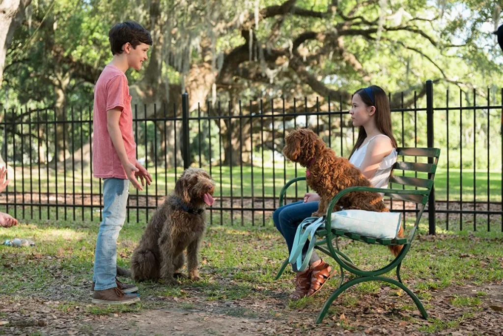 Filme de Cachorro Netflix Uma Mente Canina