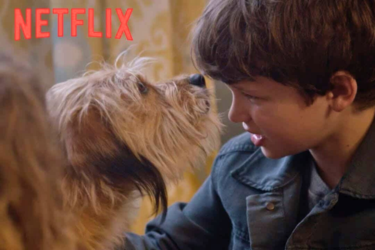 Filme de Cachorro Netflix