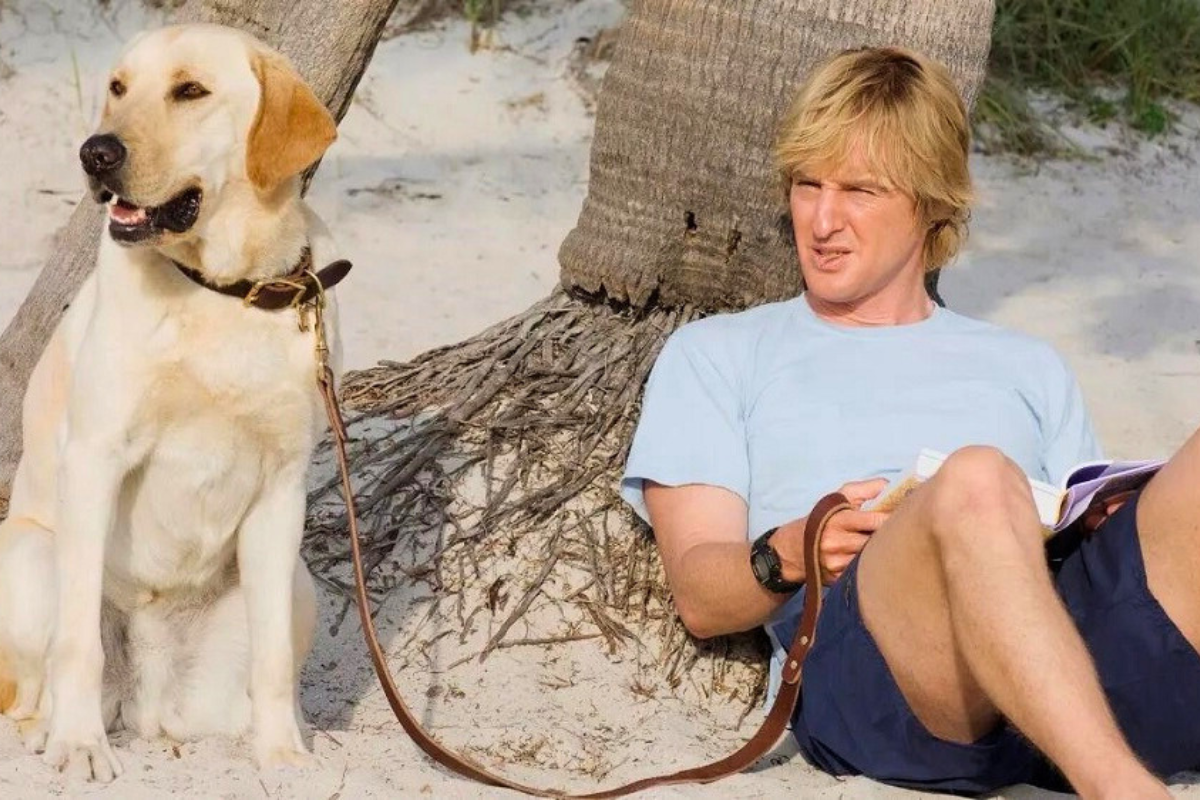 Filme de cachorro emocionante