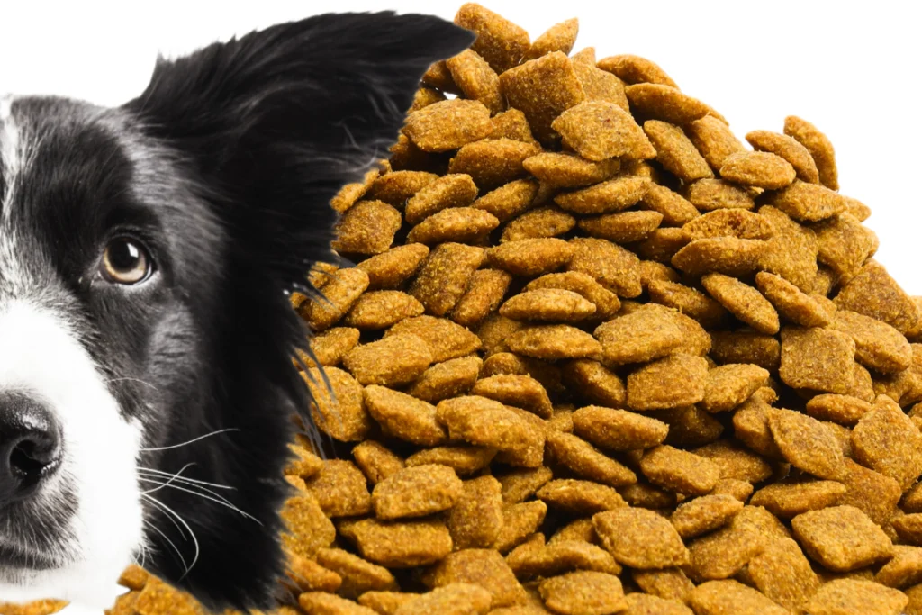 Ração Antialérgica para Cachorro
