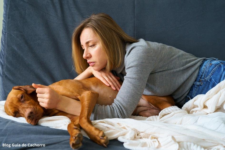 Envenenamento por raticida em cães