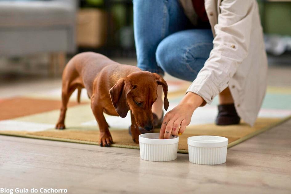 Troca de ração sem transição